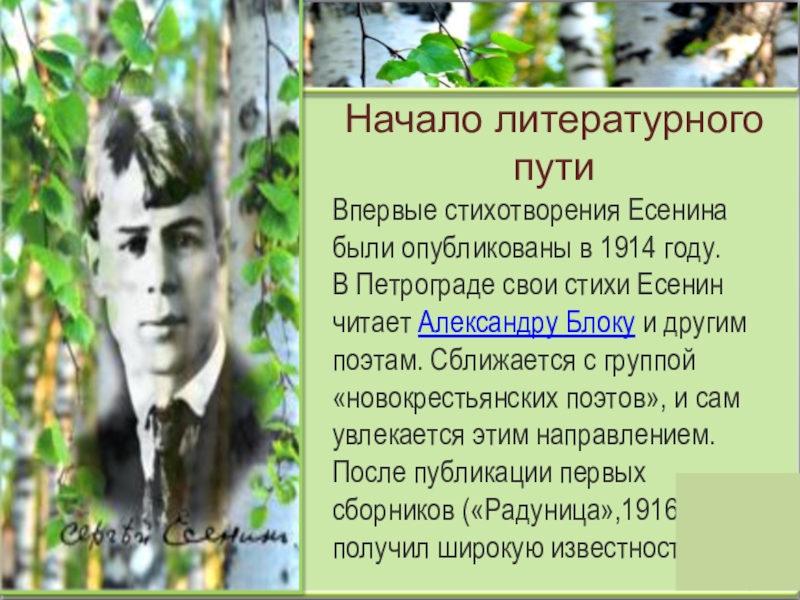 Есенин дорогая стихотворение. Начало литературного пути Есенина. Есенин начало литературного пути. Писательский путь Есенина.