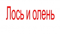 Презентация Лось и олень Работа Савичева Николая, 4Б класс, руководитель Куницына Антонина Степановна