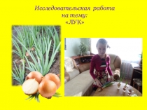 Детское исследование под руководством учителя Лук