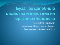 Презентация исследовательской работы по биологии на тему Башкирская буза