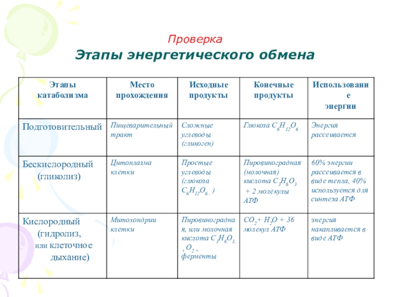 Энергетический обмен презентация 11 класс биология - 86 фото