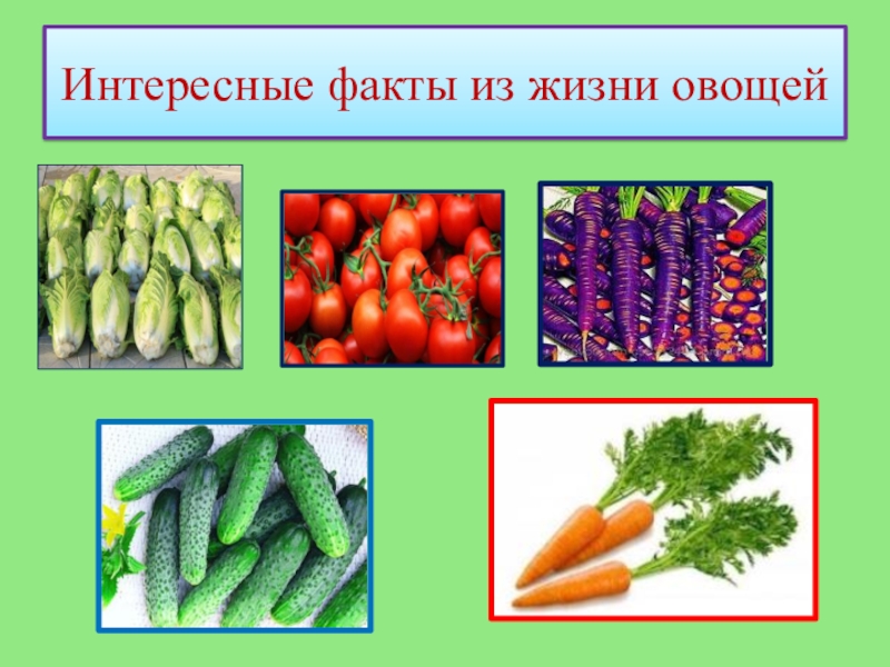 Презентация к работе Кулинарное путешествие Овощонка. Районный конкурс Первые шаги в науку 2018 Интересные факты из жизни овощей Интересные факты из жизни овощей