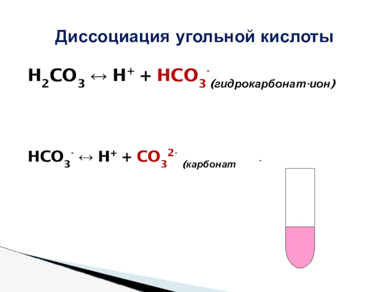 H2CO3 ↔ H+ + HCO3-(гидрокарбонат-ион)HCO3- ↔ H+ + CO32- (карбонат-ион)Диссоциация угольной кислоты