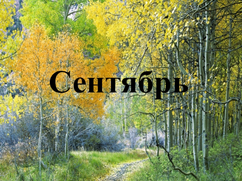 Презентация про сентябрь