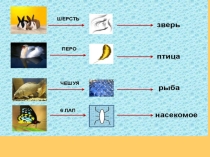 Презентация по окружающему мирк на тему царство животных