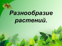 Презентация по окружающему миру Разнообразие растений3 класс