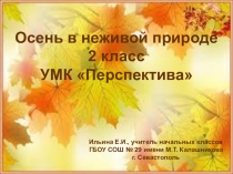 Презентация Осень в неживой природе (2 класс) УМК Перспектива
