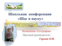 Презентация школьной конференции Земля - наш общий дом в номинации География