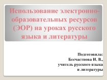 Использование электронно-образовательных ресурсов на уроках русского языка и литературы