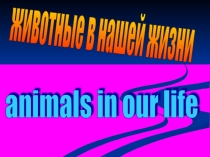 Презентация к уроку английского языка в 6 классе Животные в нашей жизни