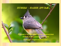 Презентация Птицы - наши друзья