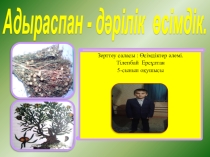 Презентация Адыраспан шығармашылық жұмыс