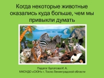 Когда некоторые животные оказались куда больше, чем мы привыкли думать