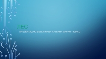 Презентация по окружающему миру .4 класс Лес