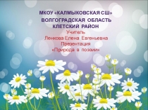 Презентация по литературному чтению на тему Природа в поэзии (4 класс)