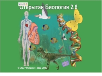 Урок - презентация Законы Г.Менделя