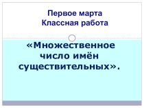 Презентация по русскому языку Множественное число им. существительных (5 класс)