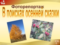 Презентация Фоторепортаж В поисках осенней сказки (осенняя экскурсия, окружающий мир 2 класс)