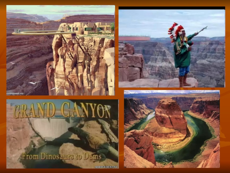 Презентация к уроку английского языка в 8 классе на тему: “National Parks of America and Russia”(Национальные парки России и Америки).