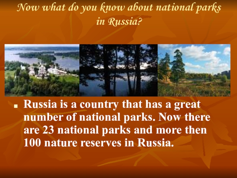 Презентация к уроку английского языка в 8 классе на тему: “National Parks of America and Russia”(Национальные парки России и Америки). Now what do you know about national parks in Russia? Russia Now what do you know about national parks in Russia? Russia is a country that has a