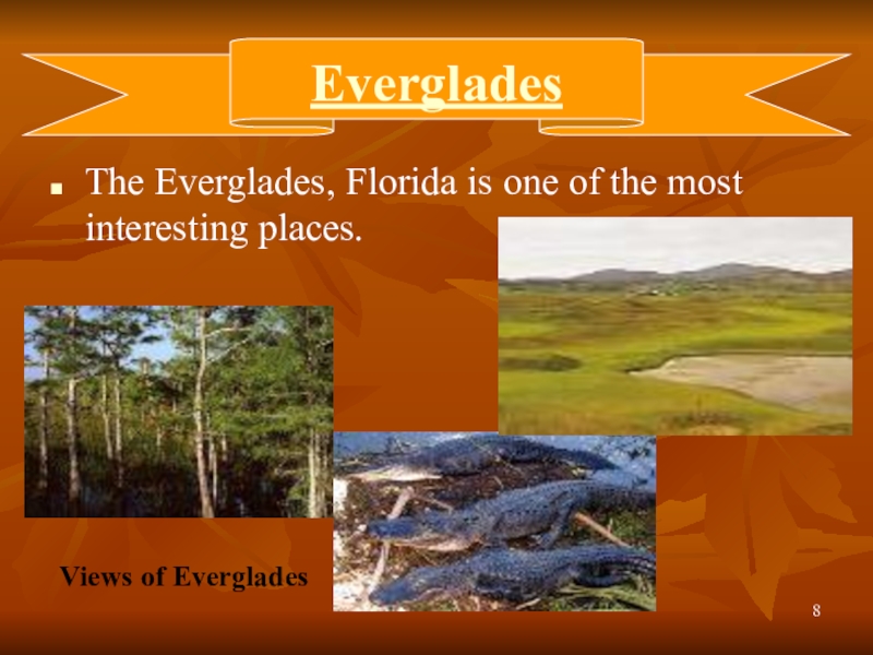 Презентация к уроку английского языка в 8 классе на тему: “National Parks of America and Russia”(Национальные парки России и Америки). EvergladesThe Everglades, Florida is one of the most interesting places. Views of Everglades EvergladesThe Everglades, Florida is one of the most interesting places. Views of Everglades