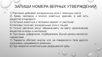 Презентация по естествознанию на тему: Можно ли жить без воды? (5 класс)