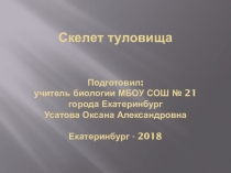 Презентация по биологии на тему Туловище человека (8 класс)