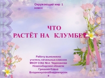 Презентация по ОМ Что растёт на клумбе