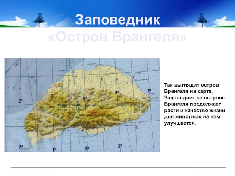 Остров врангеля заповедник эмблема