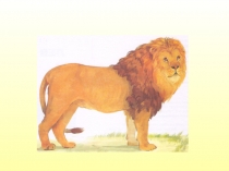 Презентация к уроку математики 1 класс М-1 урок 5