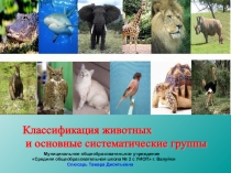 Презентация Класификация животных и основные систематические группы