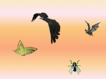 Презентация к уроку окружающего мира Пернатые изобретатели