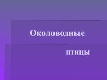Презентация по экологии Красноярского края на тему Околоводные птицы