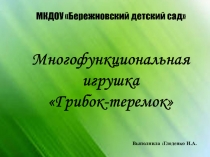 Презентация многофункциональная игрушка  грибок-теремок в детском саду
