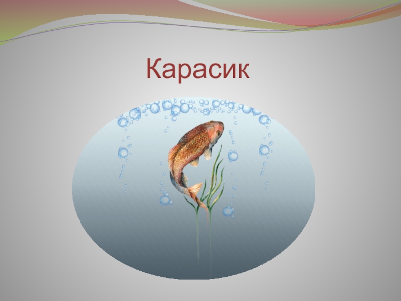 План к рассказу карасик