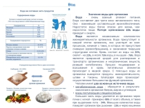 Презентация к урокам по Товароведению пищевых продуктов - Пищевые вещества