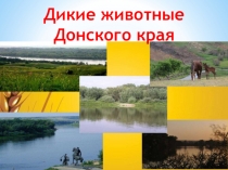 Презентация по развитию речи Дикие животные Донского края