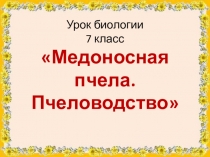 Электронная презентация к уроку биологии в 7 классе на тему Медоносная пчела. Пчеловодство