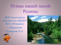 Птицы нашей малой Родины