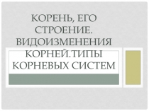 Презентация по биологии на тему Виды корней и типы корневых систем