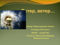Презентация Ветер, ветер...