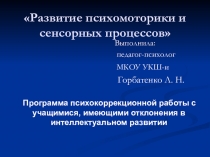 Презентация по развитию психомоторики и сенсорных процессов