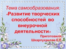 Презентация к выступлению на МО Развитие творческих способностей учащихся во внеурочное время