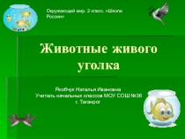 Урок на тему Животные живого уголка