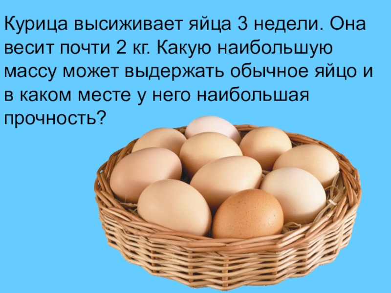 Презентация на тему яйца и яйца продукты