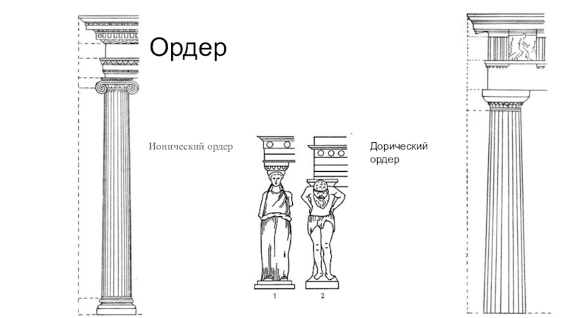 Колонна в виде женской. Дорический ордер Греция. Дорический ордер в архитектуре древней Греции. Ионический ордер древней Греции. Колонна дорического ордера.