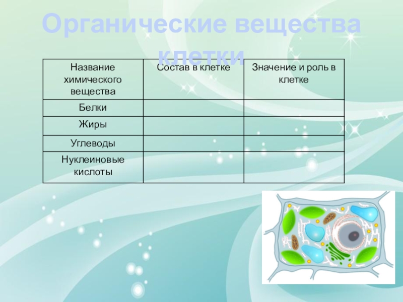 Тест химический состав. Состав клетки биология 5 класс таблица. Таблица по биологии по теме химический состав клетки 5 класс. Химические вещества клетки 5 класс биология. Химический состав клетки 5 класс биология таблица.