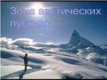 Арктическая пустыня