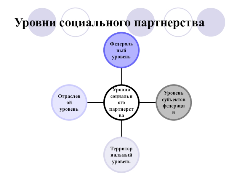 Уровни социального партнерства