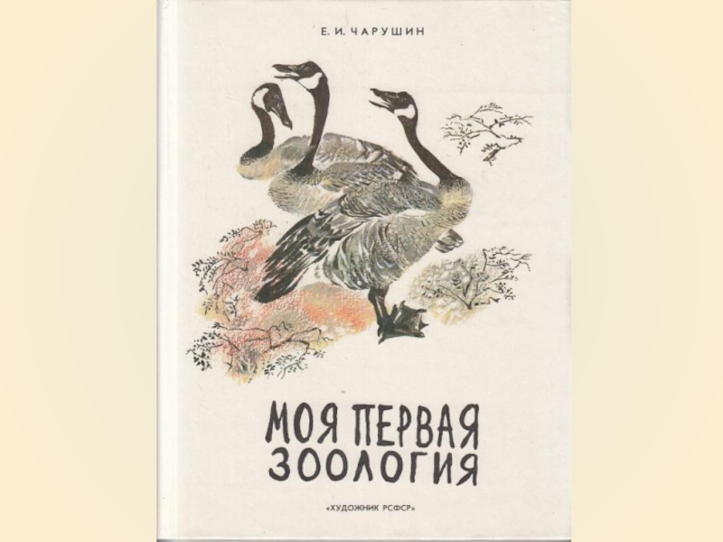 Моя первая зоология книга о птицах. Иллюстрации из книги моя первая Зоология. Зоология обложка. Книга моя первая Зоология про птиц 3 класс.